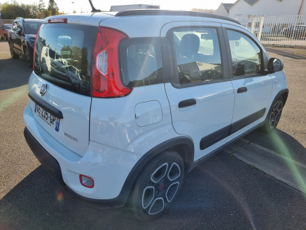 FIAT PANDA occasion seine-maritime